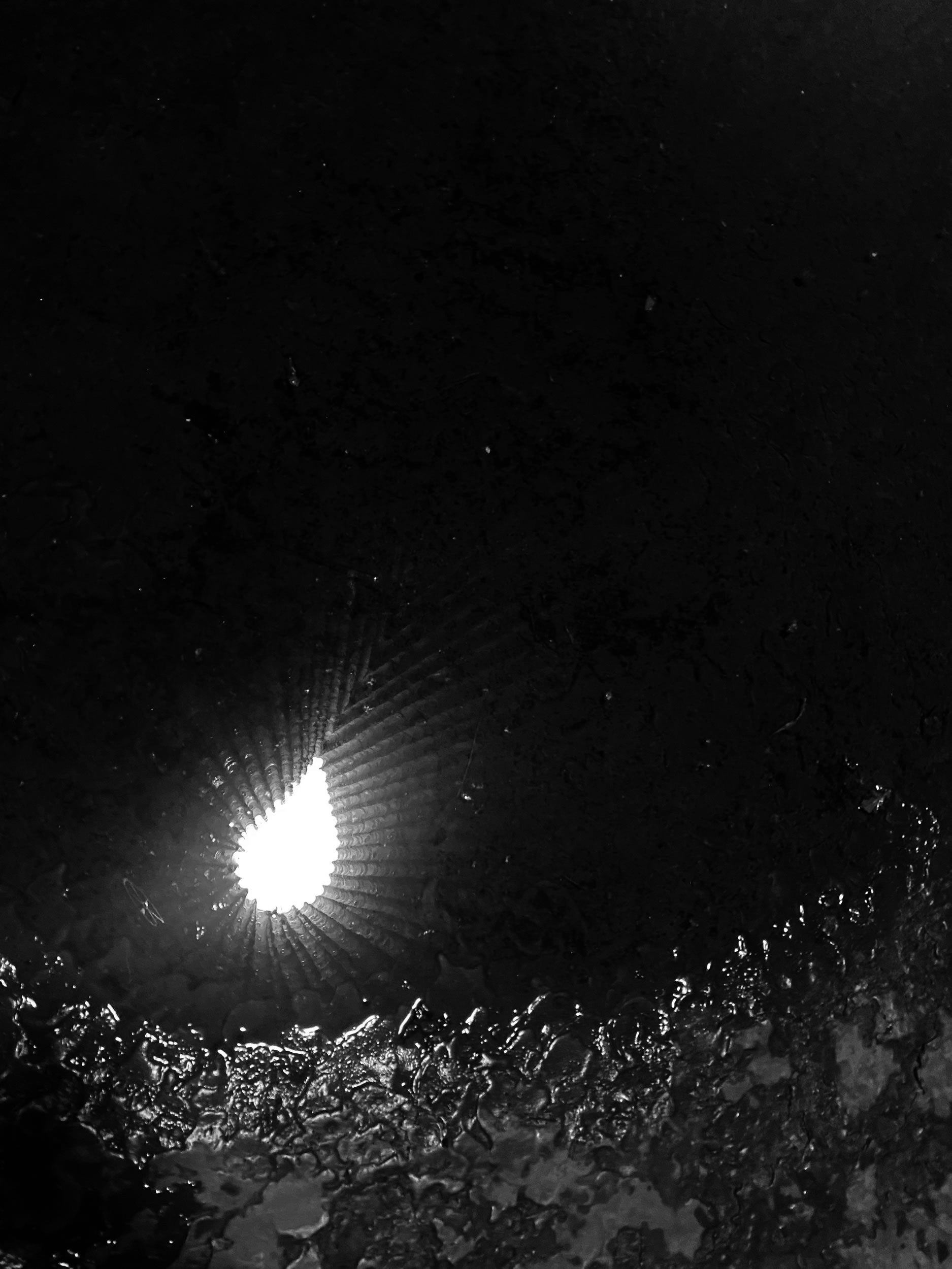 Sound and Space Rhythms of Cooperation TH Luebeck Architecture RSH D&uuml;sseldorf Composition AMD Duesseldorf Interior Design Prof Schwake